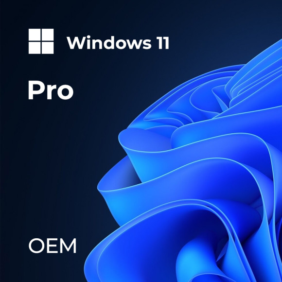 Microsoft Windows 11 Pro OEM