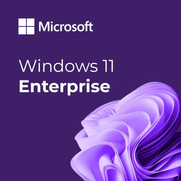 Microsoft Windows 11 Enterprise
