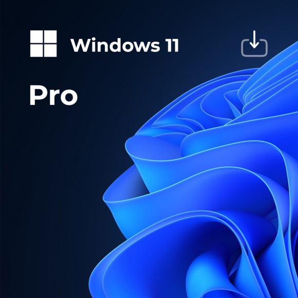 Microsoft Windows 11 Pro
