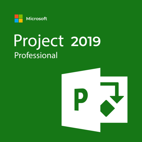 Microsoft Project Professional 2019