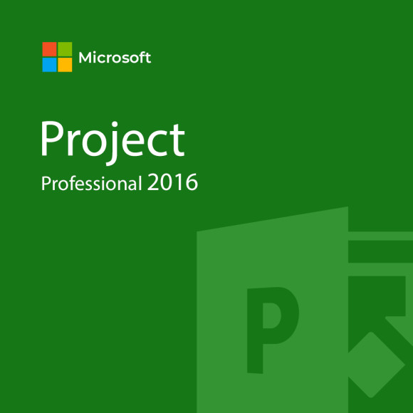 Microsoft Project Professional 2016