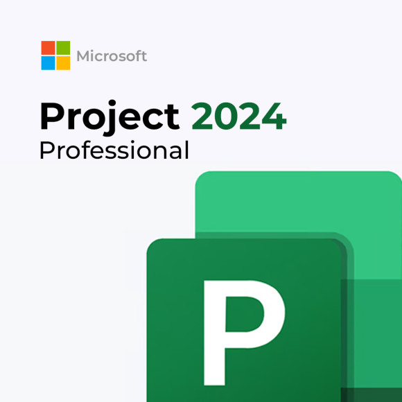 Microsoft Project Professional 2024